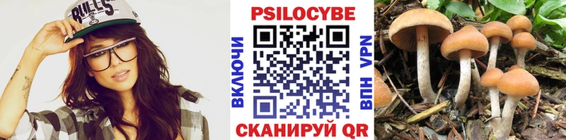 сайты даркнета наркотические препараты гидра ТОР Аргун Псилоцибиновые грибы мицелий